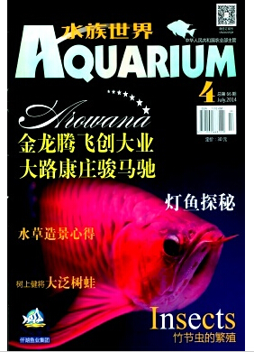 水族世界